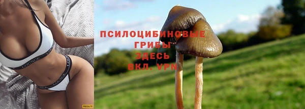 ешки Абаза