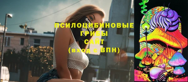 ешки Абаза