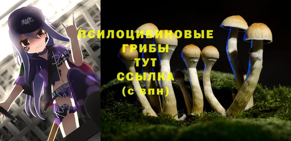 ешки Абаза
