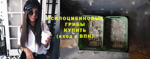 spice Пересвет